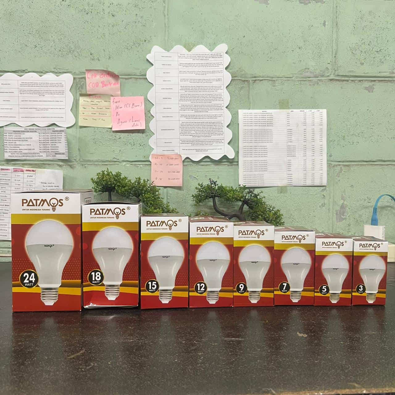 LED bulb packaging with multiple sizes for Patmos LED bulbs, guaranteed for 1 year.