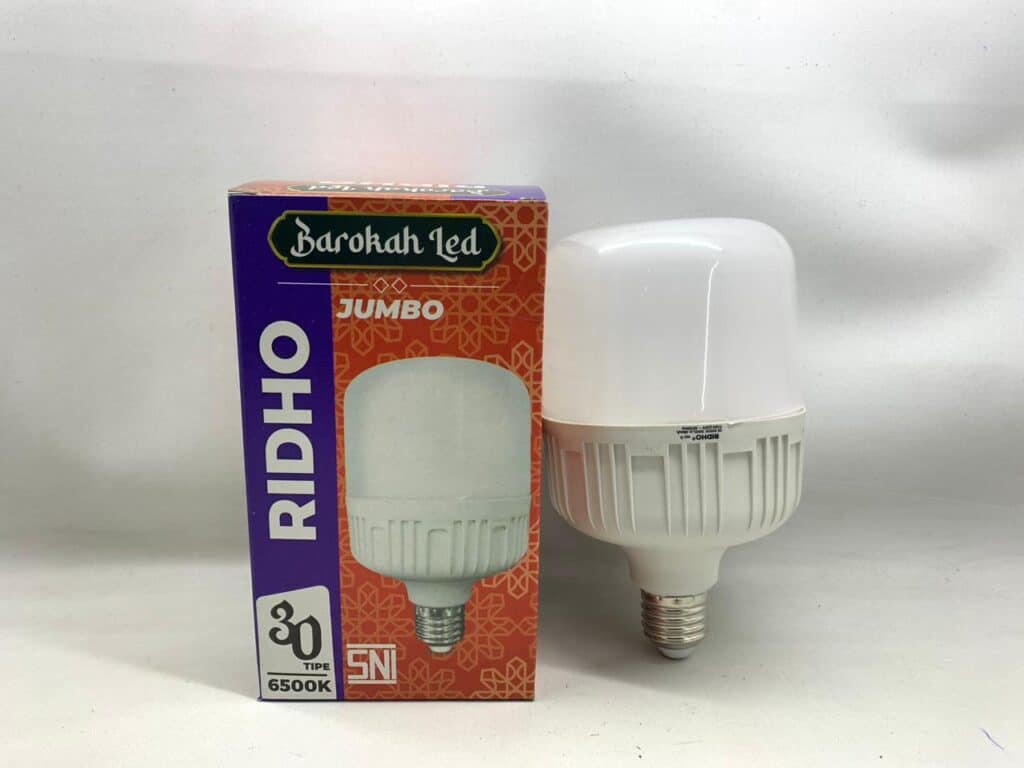 LED Bulb for Bright, Economical Lighting.